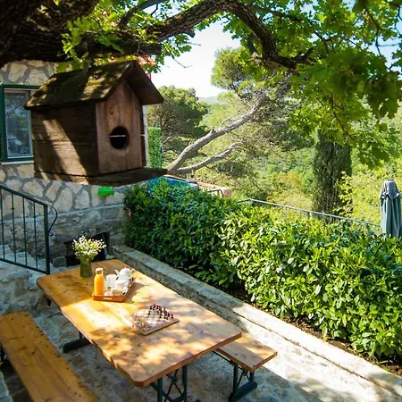 Moliva Holiday home *